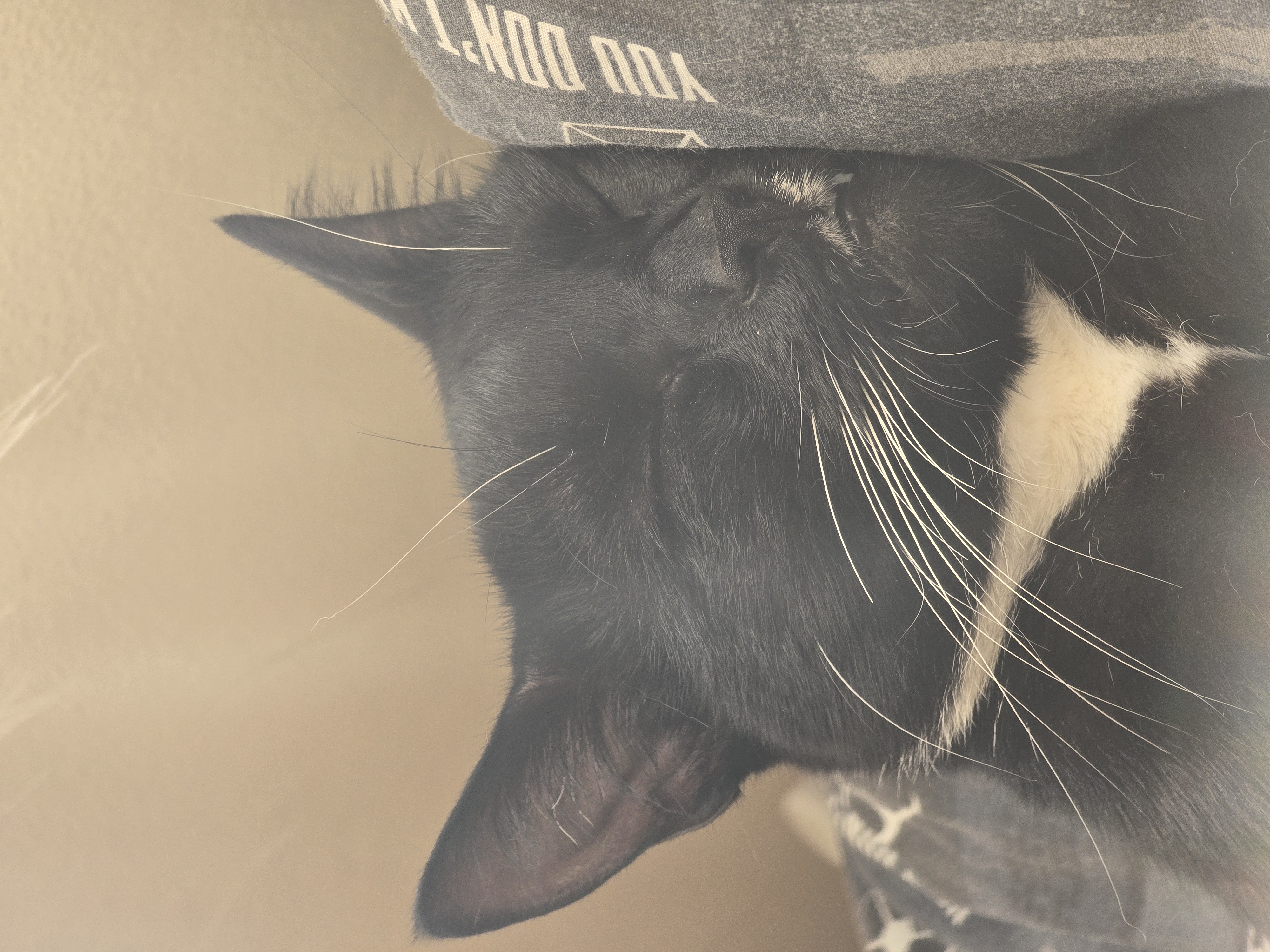 /blog/mia/
snooze.jpg /blog/mia/
snooze.jpg