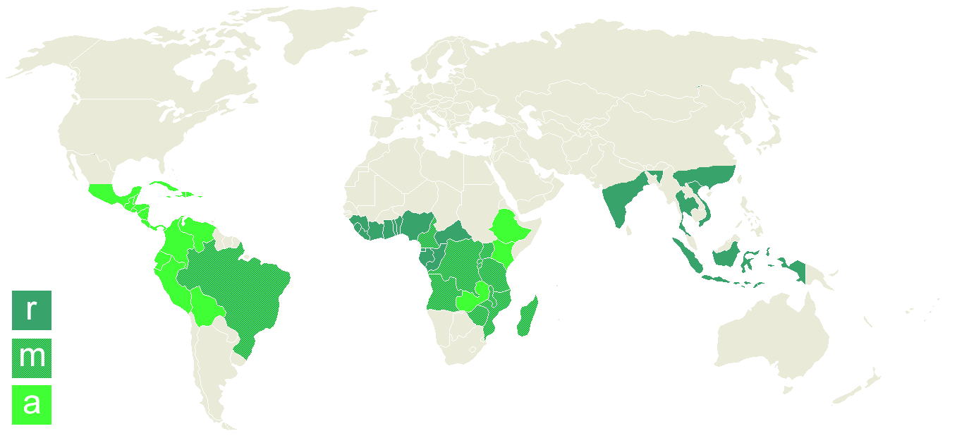 World map of Coffea arabica and Coffea robusta cultivation regions&mdash;the &ldquo;Coffee Belt&rdquo;